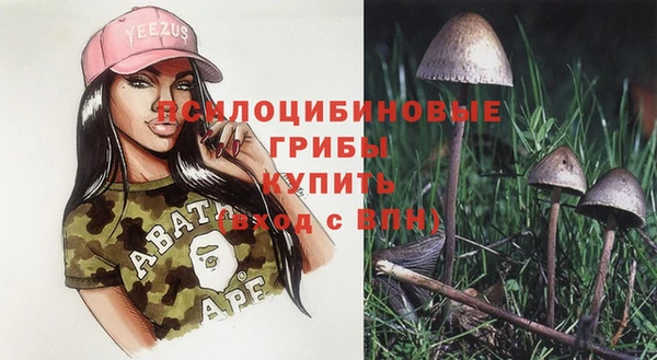 МДПВ Алексин