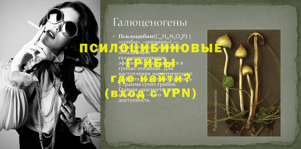 МДПВ Алексин
