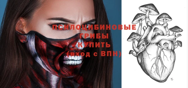 МДПВ Алексин